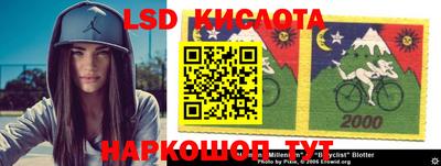 прущие грибы Кингисепп