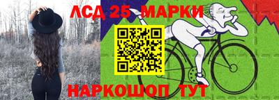 прущие грибы Кингисепп