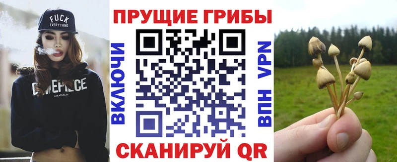 Псилоцибиновые грибы MAGIC MUSHROOMS  Купить где  Майкоп 
